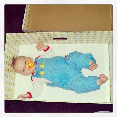 5 Month Old in the bed part of Box